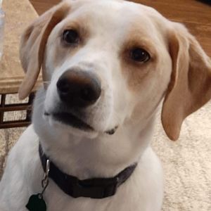 Meet your Posher, Linda